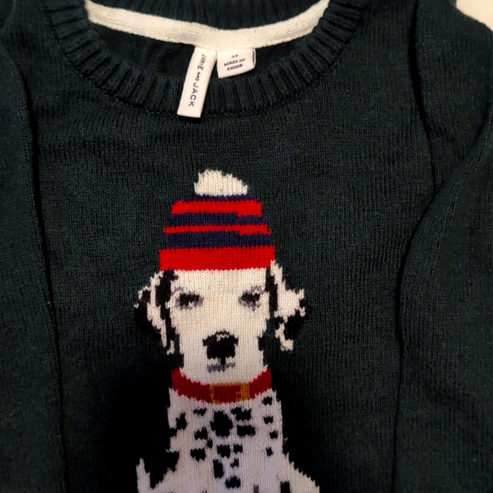 Jane & Jack 2T sweater